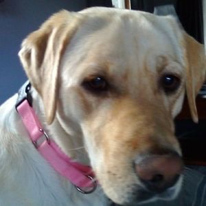 Meet your Posher, Beth